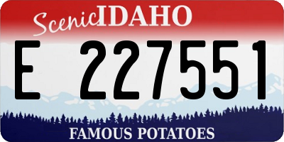ID license plate E227551