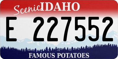 ID license plate E227552