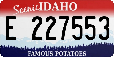 ID license plate E227553