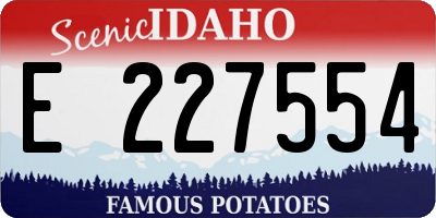 ID license plate E227554