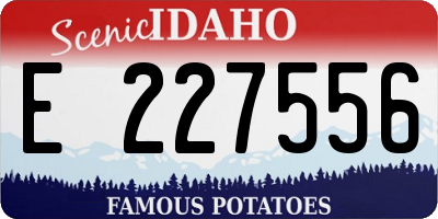 ID license plate E227556