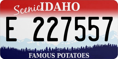 ID license plate E227557