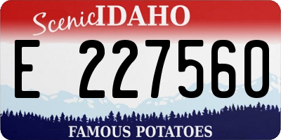 ID license plate E227560