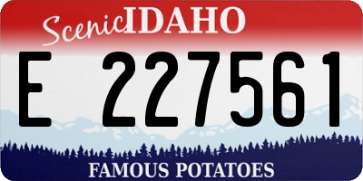ID license plate E227561
