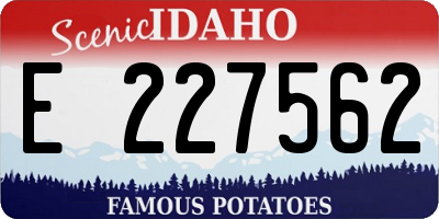 ID license plate E227562