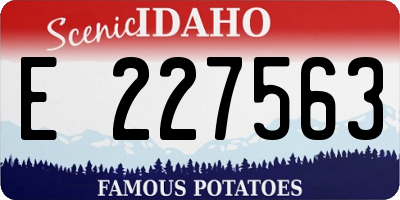 ID license plate E227563