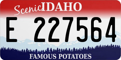 ID license plate E227564