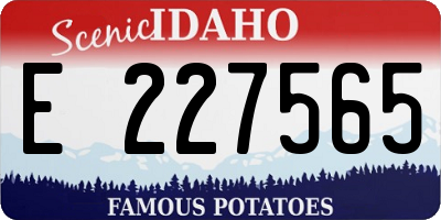 ID license plate E227565