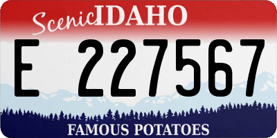 ID license plate E227567