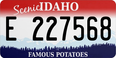 ID license plate E227568