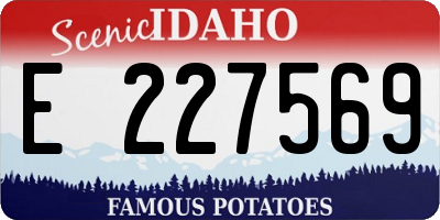 ID license plate E227569