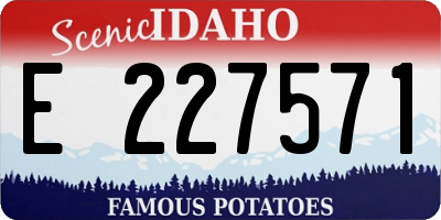 ID license plate E227571