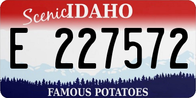 ID license plate E227572
