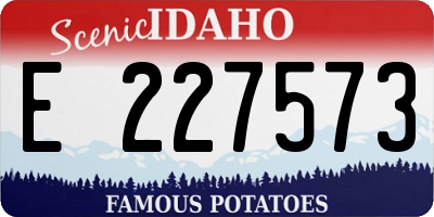 ID license plate E227573