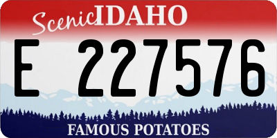 ID license plate E227576