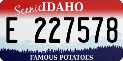 ID license plate E227578