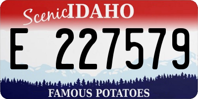 ID license plate E227579