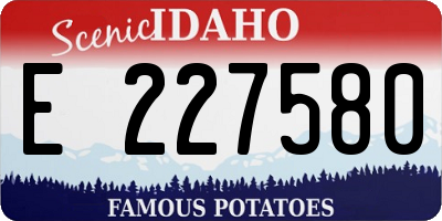 ID license plate E227580