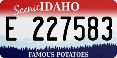 ID license plate E227583