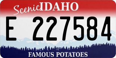 ID license plate E227584