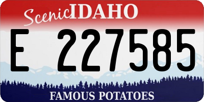 ID license plate E227585