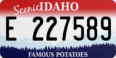 ID license plate E227589