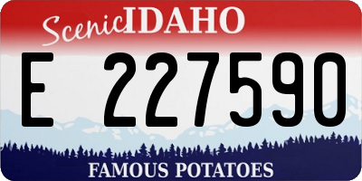 ID license plate E227590