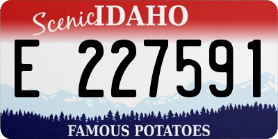 ID license plate E227591