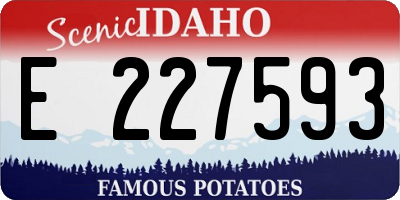 ID license plate E227593