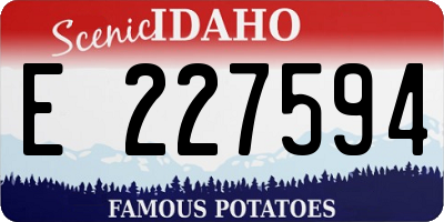 ID license plate E227594