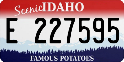 ID license plate E227595