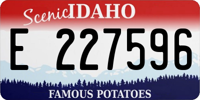 ID license plate E227596