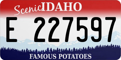 ID license plate E227597