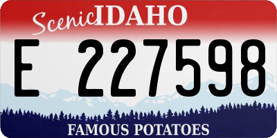 ID license plate E227598