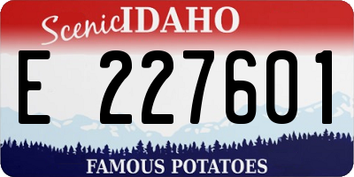 ID license plate E227601