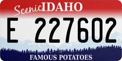 ID license plate E227602