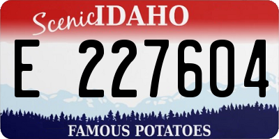 ID license plate E227604