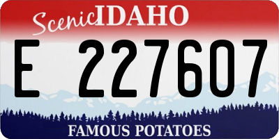 ID license plate E227607