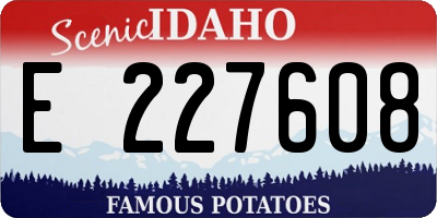 ID license plate E227608