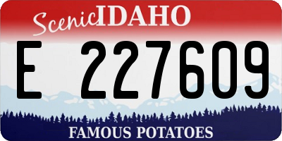 ID license plate E227609
