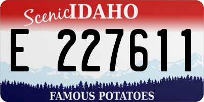 ID license plate E227611