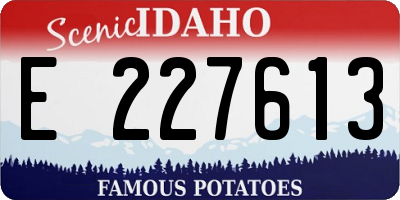 ID license plate E227613