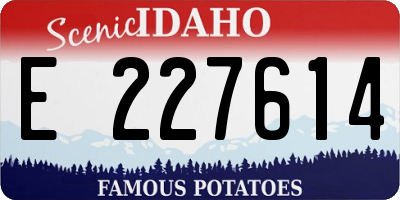 ID license plate E227614