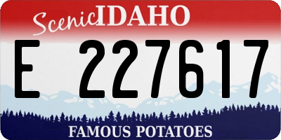 ID license plate E227617