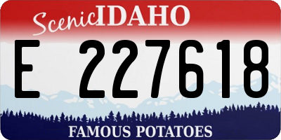 ID license plate E227618
