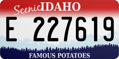 ID license plate E227619