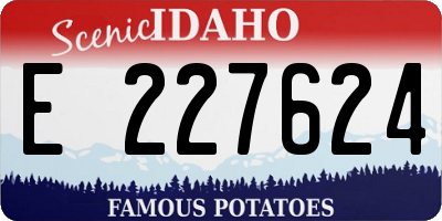ID license plate E227624