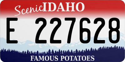 ID license plate E227628