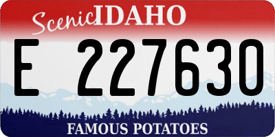 ID license plate E227630
