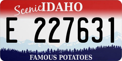 ID license plate E227631